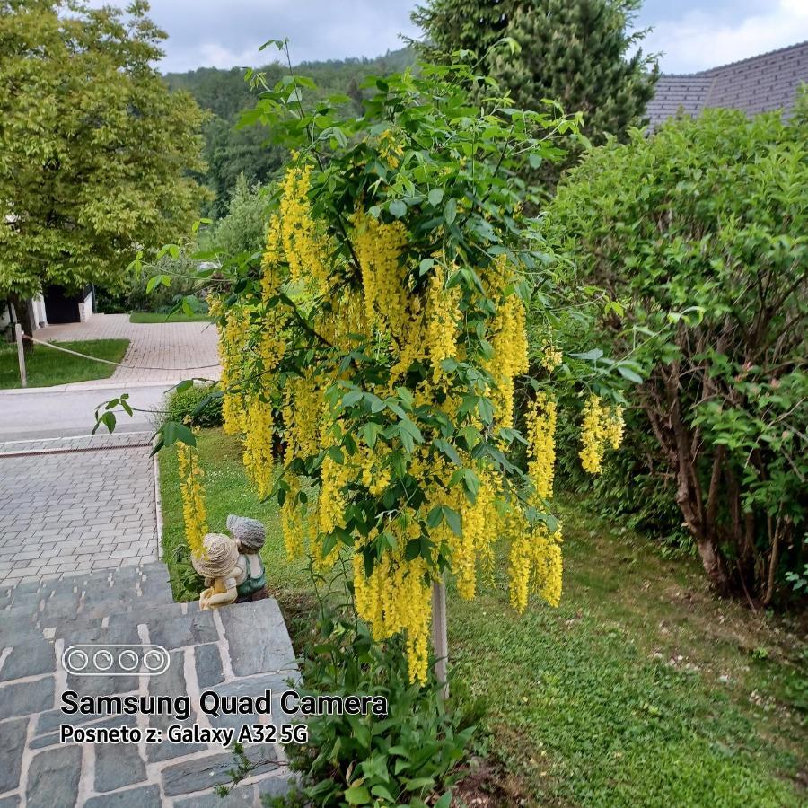 Apartma - Pocitniska Hisa Lodi Bohinj Exterior foto